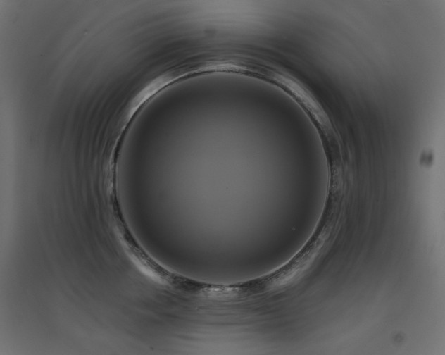 X0000094900858200711291231