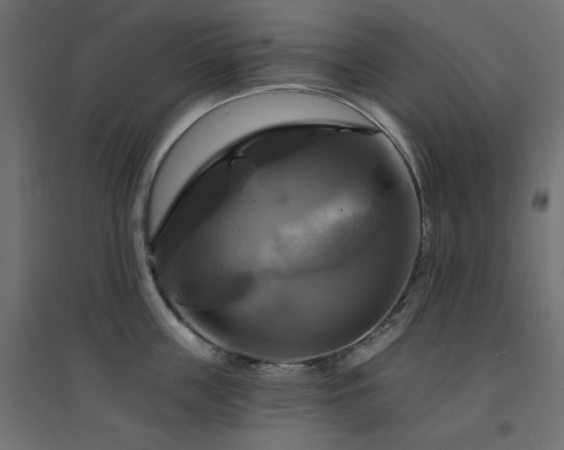X0000094900859200711291231