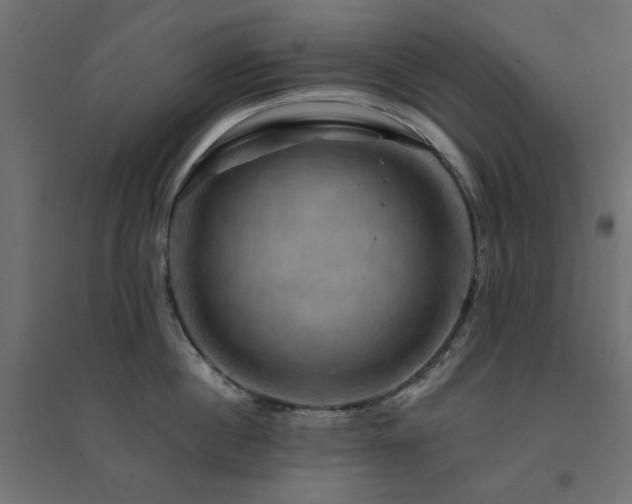 X0000094900860200711291231