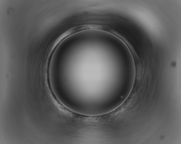 X0000094900861200711291231