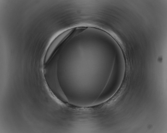 X0000094900862200711291231