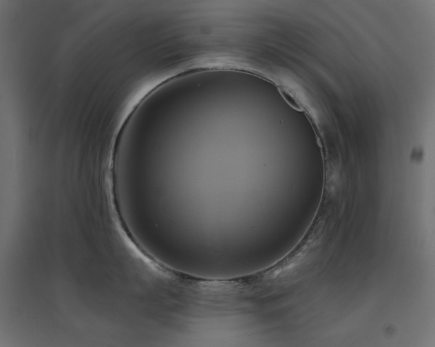 X0000094900863200711291231