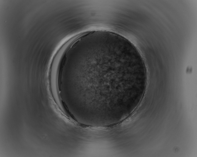 X0000094900864200711291231