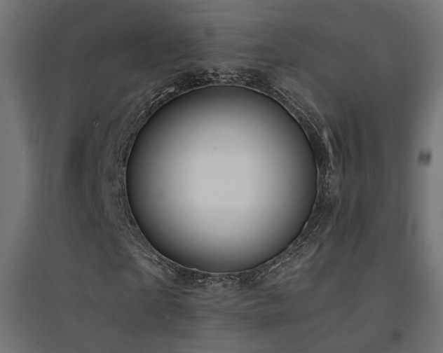 X0000094900865200711291230
