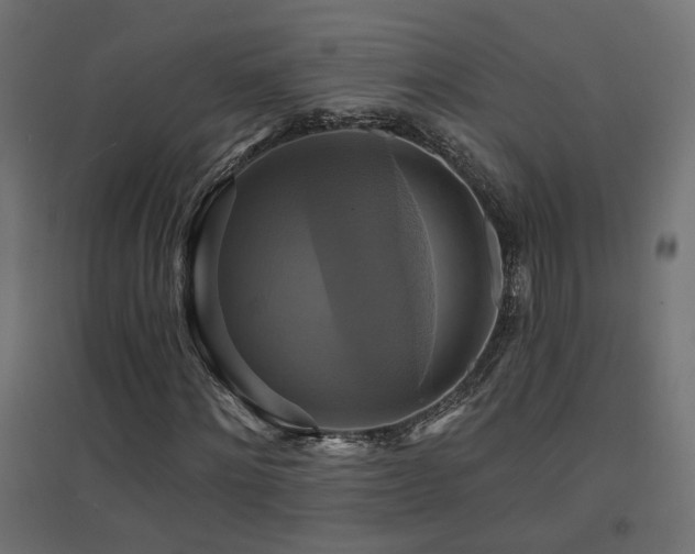 X0000094900868200711291230