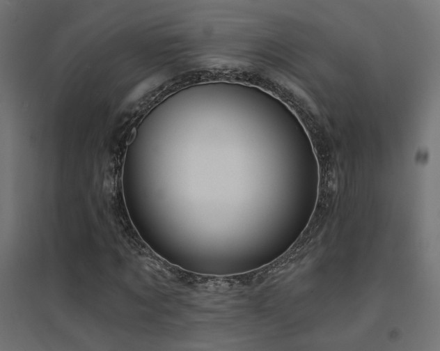 X0000094900869200711291230