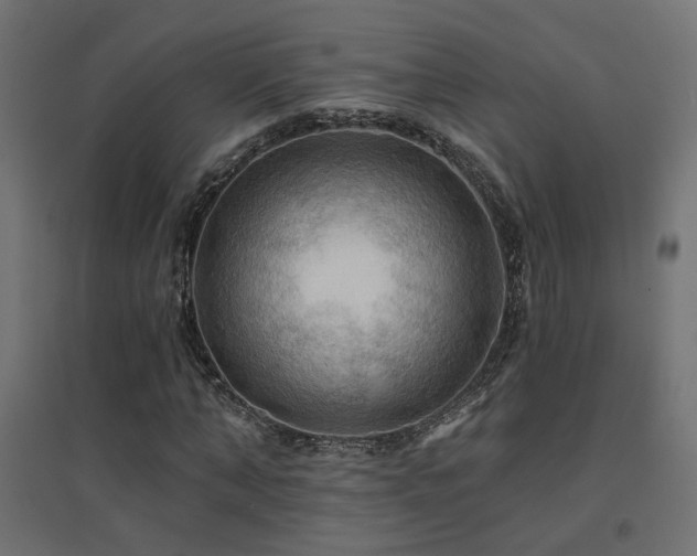 X0000094900870200711291230