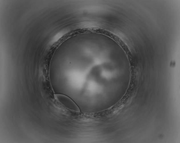 X0000094900871200711291230