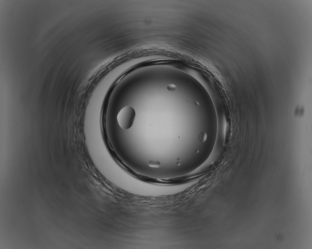 X0000094900872200711291230