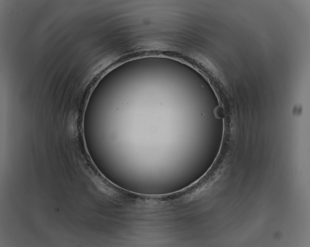 X0000094900873200711291230