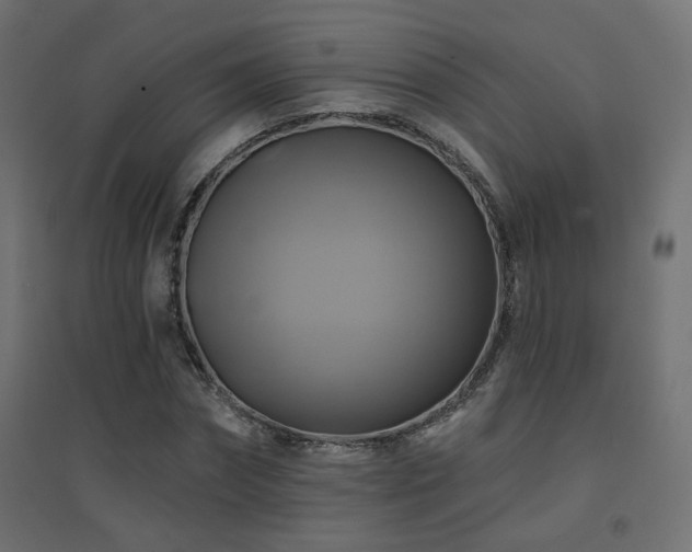 X0000094900874200711291230