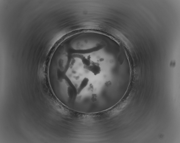 X0000094900875200711291230
