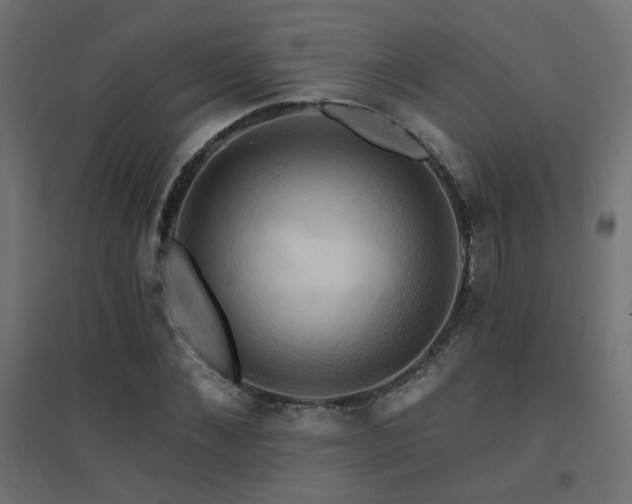X0000094900876200711291230