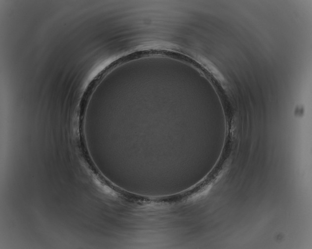 X0000094900877200711291230