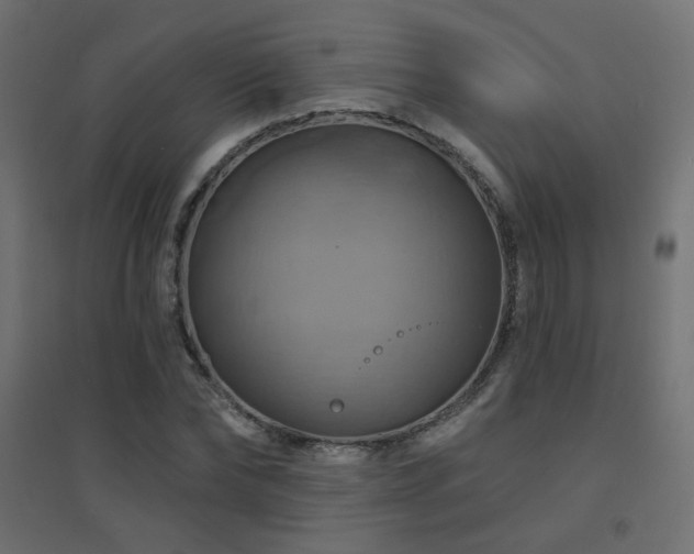 X0000094900878200711291230