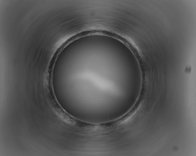 X0000094900879200711291230