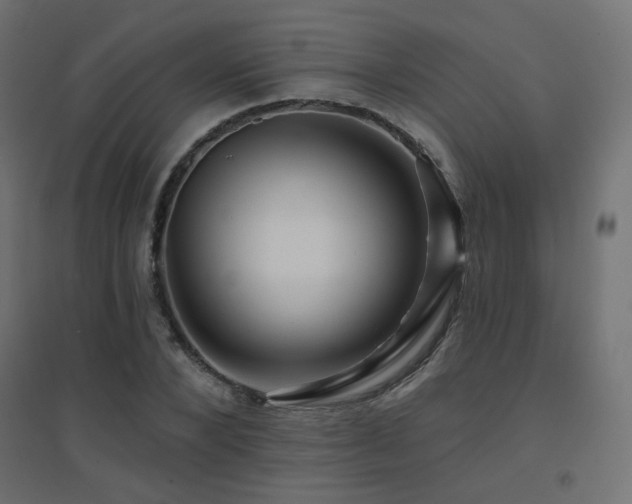 X0000094900880200711291230