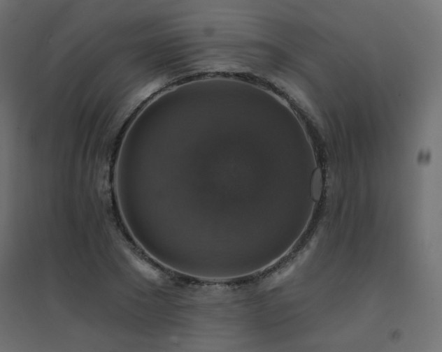 X0000094900881200711291230