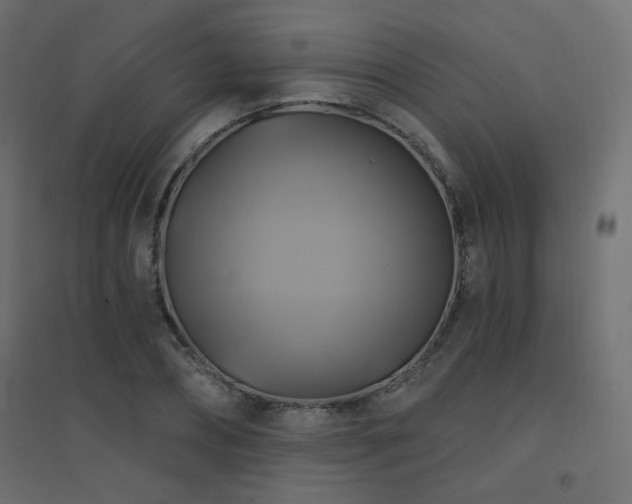 X0000094900882200711291230