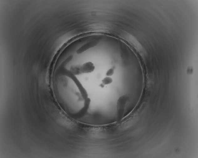 X0000094900883200711291230
