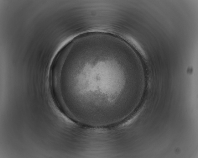 X0000094900884200711291230
