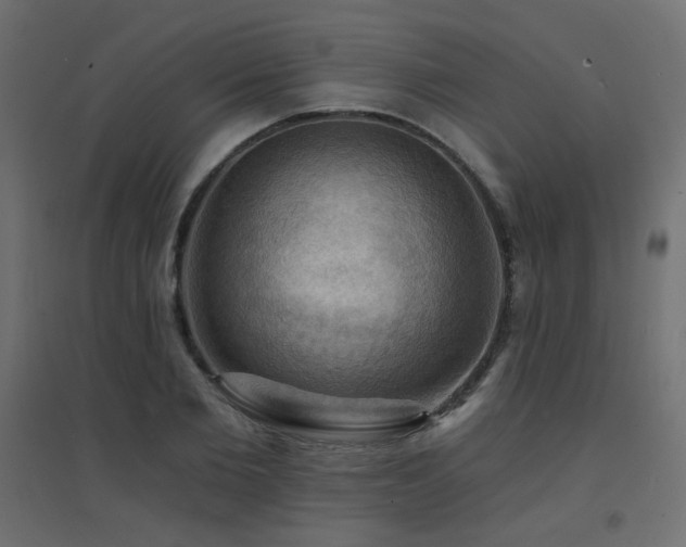 X0000094900885200711291230