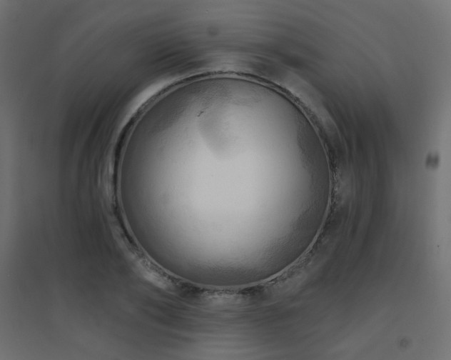 X0000094900886200711291230