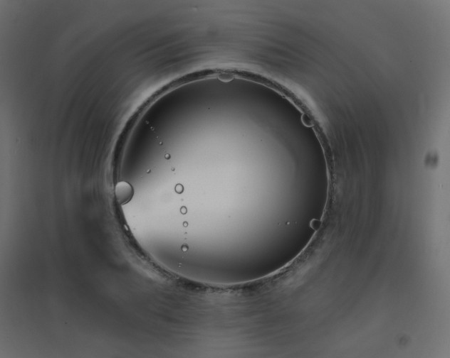 X0000094900887200711291230
