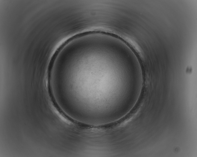 X0000094900888200711291230