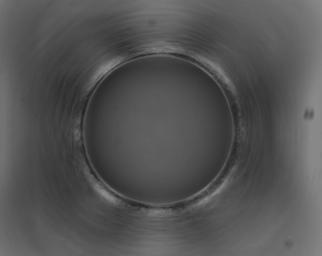 X0000094900889200711291230