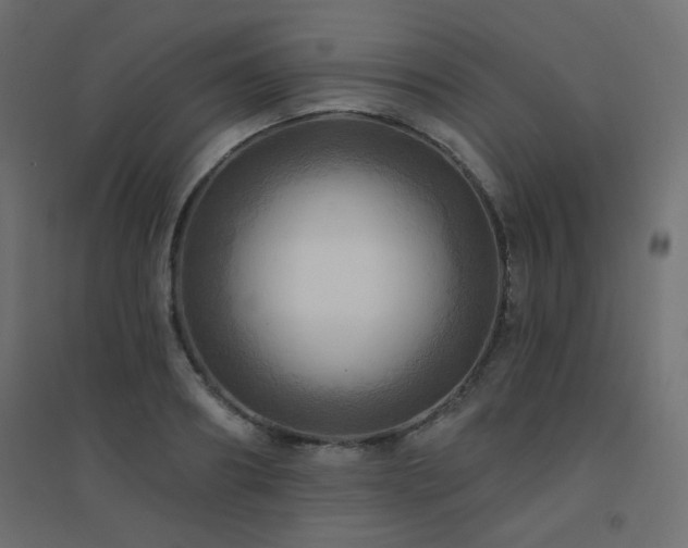 X0000094900890200711291230