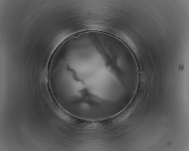 X0000094900891200711291230