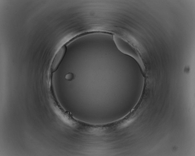 X0000094900892200711291230