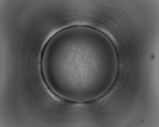 X0000094900894200711291229