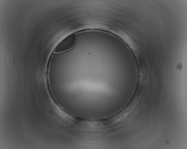 X0000094900895200711291229