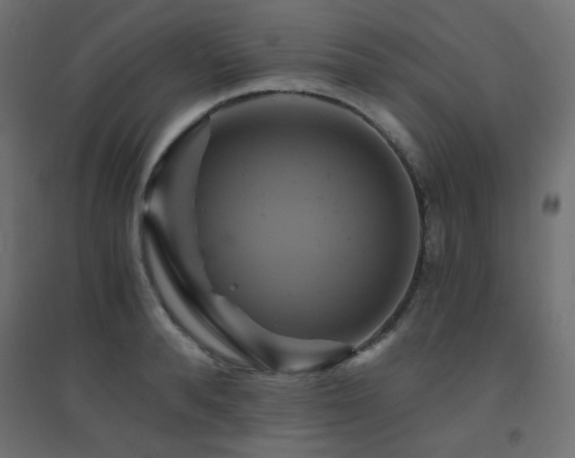 X0000094900896200711291229