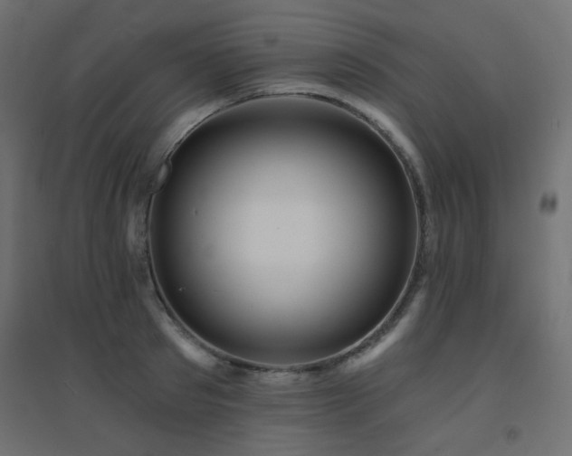 X0000094900897200711291229