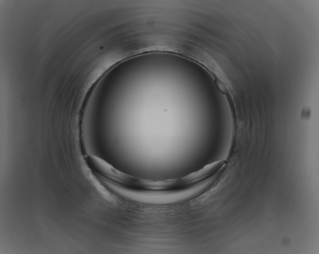 X0000094900898200711291229