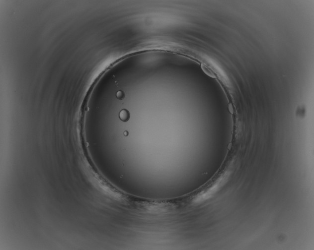 X0000094900899200711291229