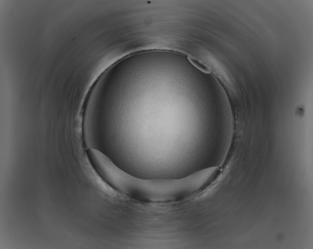X0000094900900200711291229
