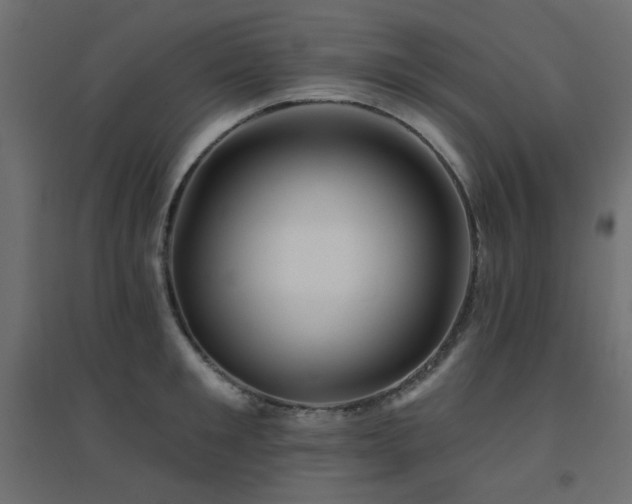 X0000094900901200711291229