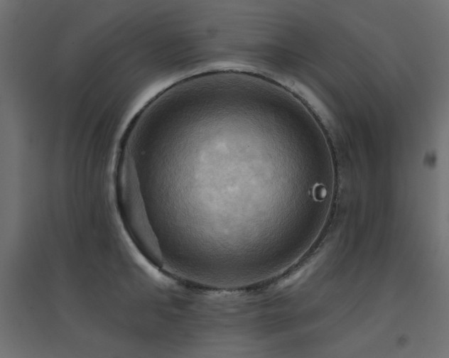 X0000094900902200711291229