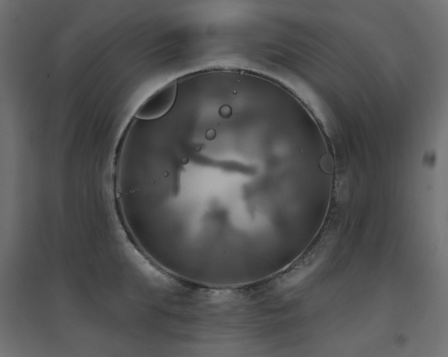 X0000094900903200711291229