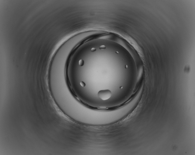 X0000094900904200711291229