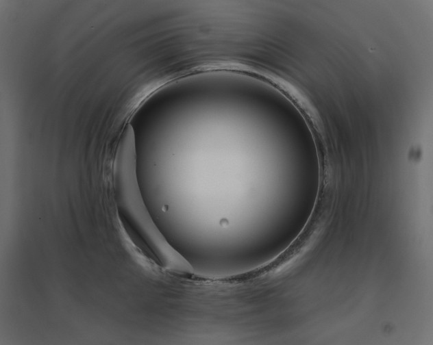 X0000094900905200711291229