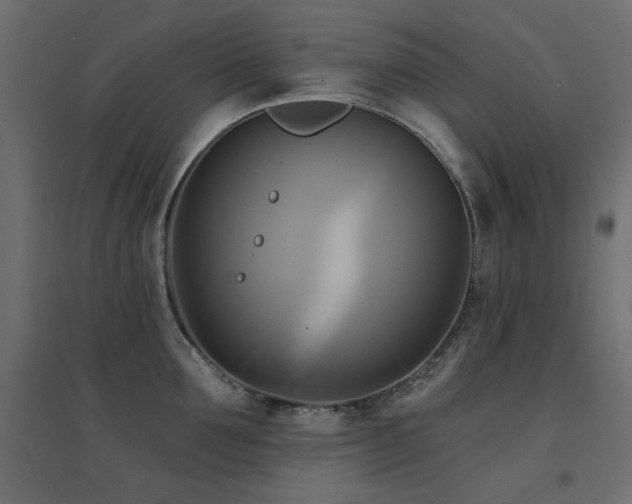 X0000094900907200711291229