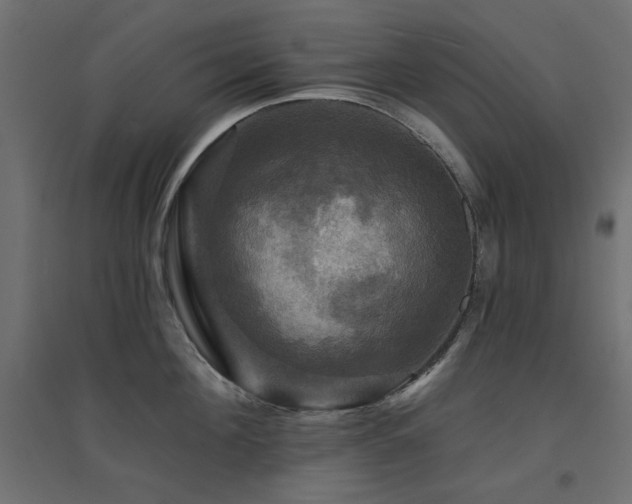 X0000094900908200711291229