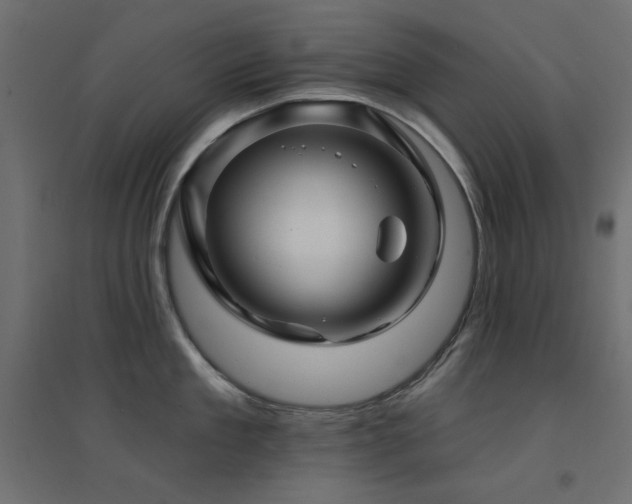 X0000094900909200711291229