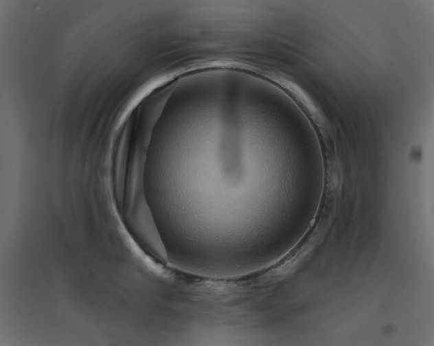 X0000094900910200711291229