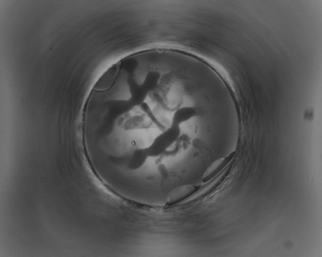 X0000094900911200711291229